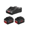 Bosch 1600A016GR 18V 2 X 8.0Ah ProCORE Batteries With GAL 18V-160 C Charger